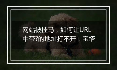 网站被挂马,如何让URL中带?的地址打不开,宝塔
