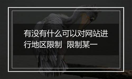 有没有什么可以对网站进行地区限制 限制某一