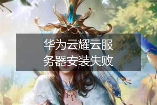华为云耀云服务器安装失败