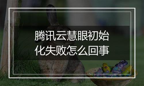 腾讯云慧眼初始化失败怎么回事