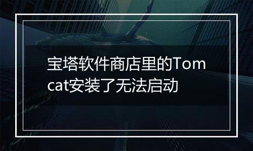 宝塔软件商店里的Tomcat安装了无法启动
