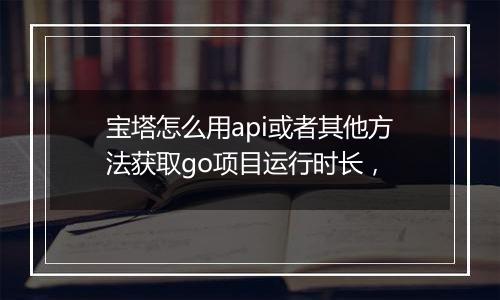 宝塔怎么用api或者其他方法获取go项目运行时长,