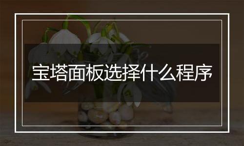 宝塔面板选择什么程序