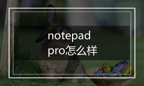 notepadpro怎么样