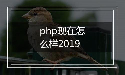 php现在怎么样2019