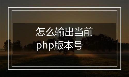 怎么输出当前php版本号