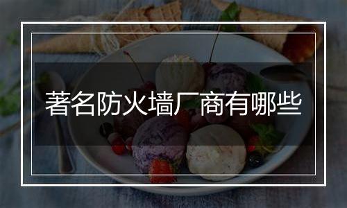 著名防火墙厂商有哪些