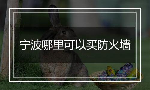 宁波哪里可以买防火墙