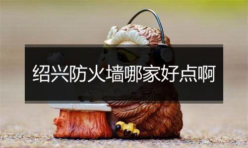 绍兴防火墙哪家好点啊