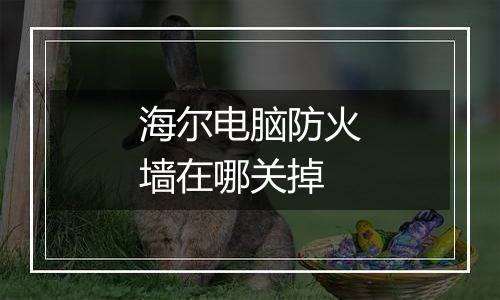 海尔电脑防火墙在哪关掉
