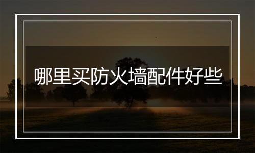 哪里买防火墙配件好些