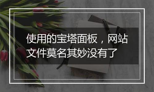 使用的宝塔面板,网站文件莫名其妙没有了