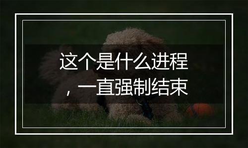 这个是什么进程,一直强制结束