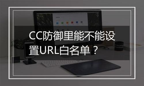 CC防御里能不能设置URL白名单?