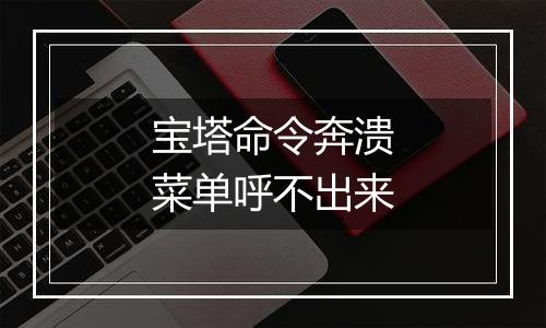 宝塔命令奔溃菜单呼不出来