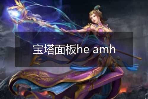 宝塔面板he amh