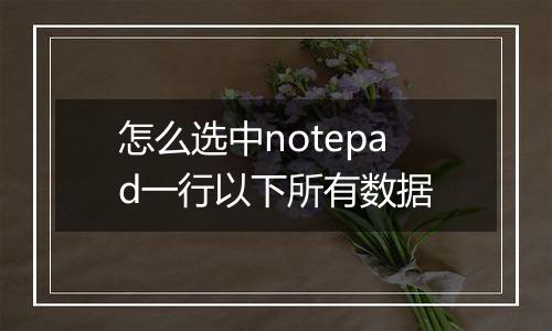 怎么选中notepad一行以下所有数据