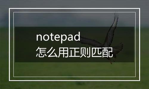 notepad怎么用正则匹配