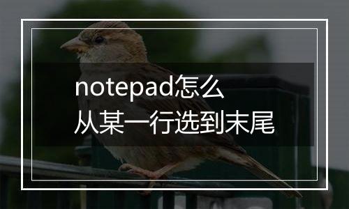 notepad怎么从某一行选到末尾