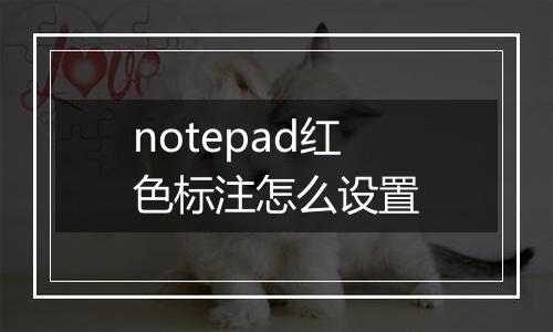 notepad红色标注怎么设置