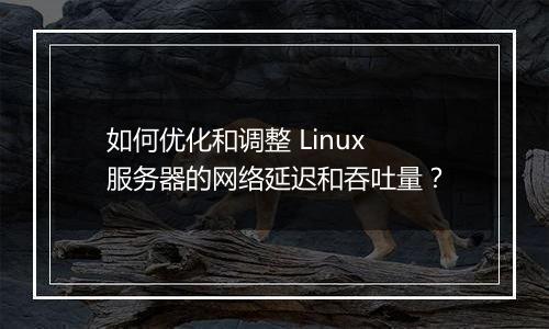 如何优化和调整 Linux 服务器的网络延迟和吞吐量?