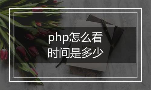 php怎么看时间是多少