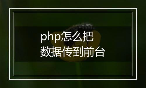 php怎么把数据传到前台