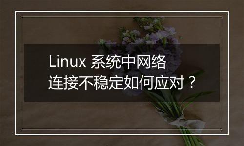 Linux 系统中网络连接不稳定如何应对?