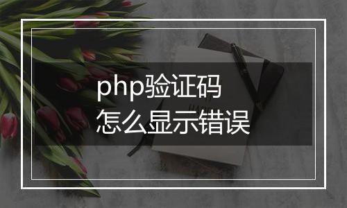 php验证码怎么显示错误