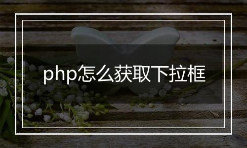 php怎么获取下拉框