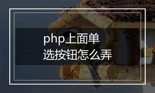 php上面单选按钮怎么弄