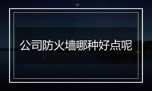 公司防火墙哪种好点呢