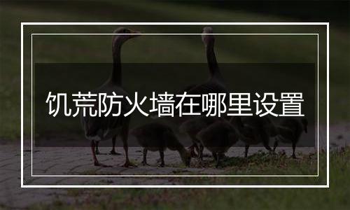 饥荒防火墙在哪里设置