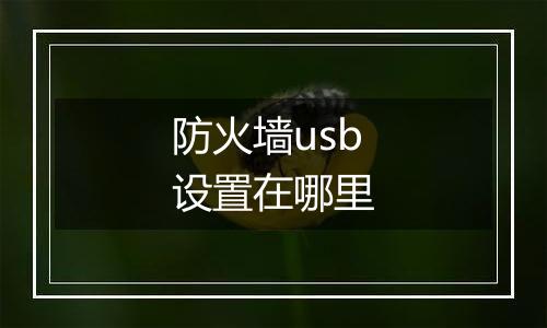 防火墙usb设置在哪里