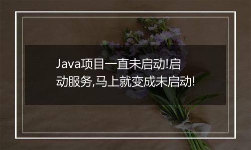 Java项目一直未启动!启动服务,马上就变成未启动!