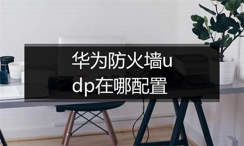 华为防火墙udp在哪配置
