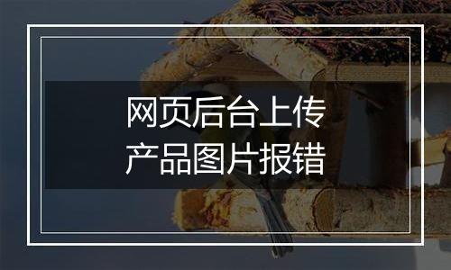 网页后台上传产品图片报错