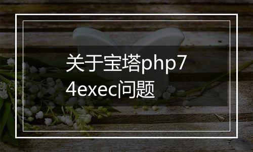 关于宝塔php74exec问题