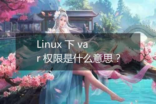 Linux 下 var 权限是什么意思?