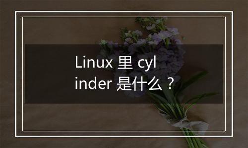 Linux 里 cylinder 是什么?