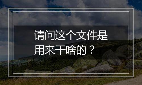 请问这个文件是用来干啥的?
