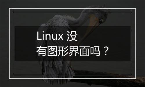 Linux 没有图形界面吗?