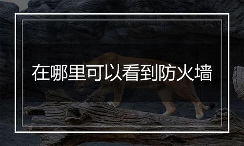 在哪里可以看到防火墙
