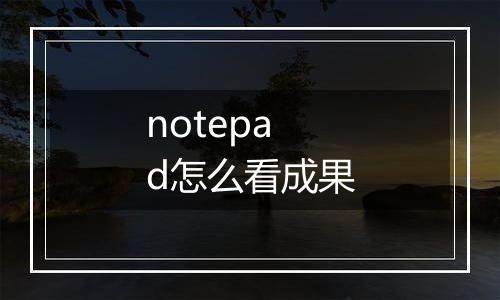notepad怎么看成果