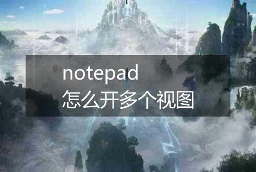 notepad怎么开多个视图