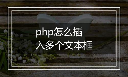 php怎么插入多个文本框