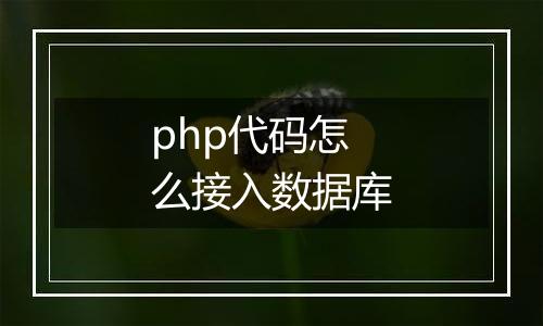 php代码怎么接入数据库