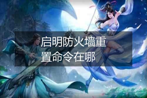 启明防火墙重置命令在哪