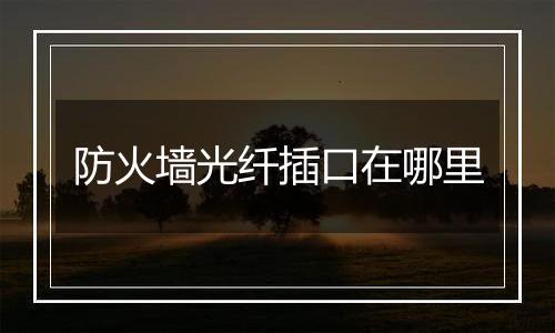 防火墙光纤插口在哪里