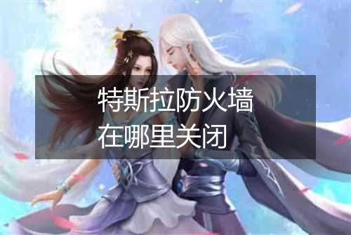 特斯拉防火墙在哪里关闭